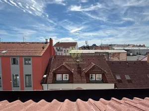 Pronájem bytu 1+kk, Plzeň, Lindauerova, 26 m2