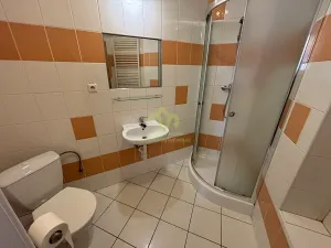 Pronájem bytu 1+kk, Plzeň, Lindauerova, 26 m2