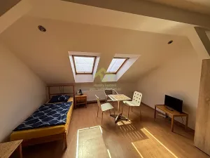 Pronájem bytu 1+kk, Plzeň, Lindauerova, 26 m2