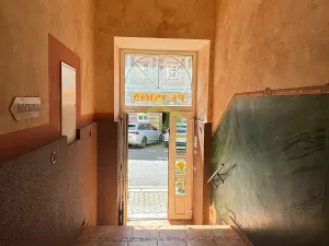 Pronájem bytu 1+kk, Plzeň, Lindauerova, 26 m2