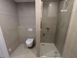 Pronájem bytu 1+kk, Olomouc, Kyselovská, 35 m2
