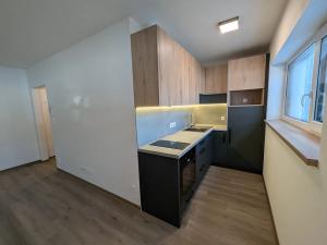Pronájem bytu 1+kk, Olomouc, Kyselovská, 35 m2