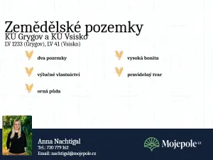 Prodej pole, Velký Týnec, 15521 m2