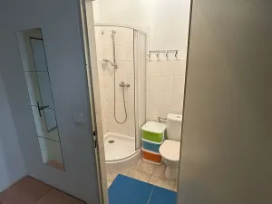Pronájem bytu 2+1, Brno, Bayerova, 63 m2
