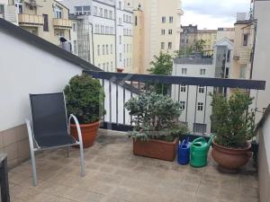 Pronájem bytu 2+kk, Praha - Vinohrady, Rumunská, 60 m2