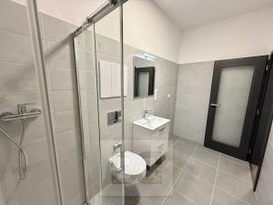 Pronájem bytu 2+kk, Písek, Vladislavova, 37 m2