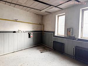 Pronájem komerční nemovitosti, Brno, Gajdošova, 449 m2