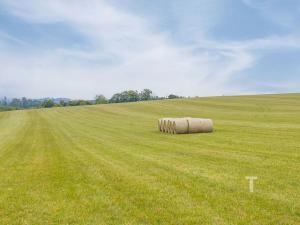Prodej pozemku pro bydlení, Velenov, 12680 m2
