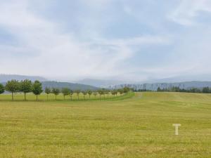 Prodej pozemku pro bydlení, Velenov, 12680 m2