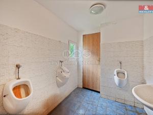 Prodej rodinného domu, Chlumec - Žandov, 400 m2