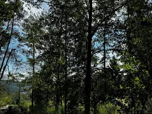 Prodej pozemku pro bydlení, Kamýk nad Vltavou, 905 m2