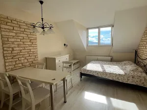 Pronájem bytu 3+kk, Karlovy Vary, nábřeží Jana Palacha, 65 m2