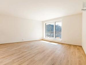 Prodej bytu 3+kk, Brno, Bystrcká, 75 m2