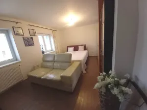 Pronájem bytu 2+kk, Brno, Nopova, 66 m2