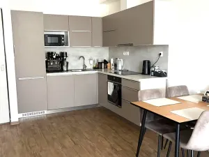 Pronájem bytu 2+kk, Olomouc, Dolní novosadská, 64 m2