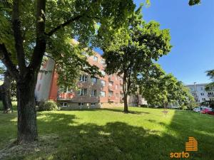 Pronájem bytu 2+1, Ústí nad Labem, Školní, 55 m2