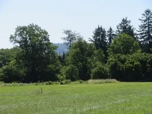 Prodej pole, Kolinec, 75440 m2