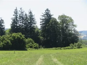 Prodej pole, Kolinec, 75440 m2