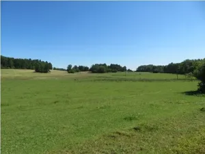 Prodej pole, Kolinec, 75440 m2