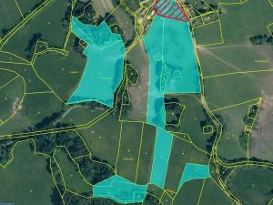 Prodej lesa, Kolinec, 75440 m2