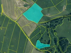 Prodej lesa, Kolinec, 75440 m2