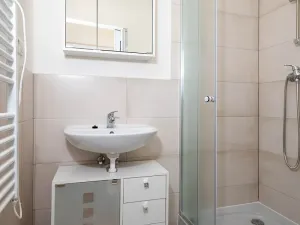 Pronájem bytu 1+kk, Ostrava, Palackého, 33 m2