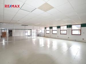 Pronájem výrobních prostor, Frýdek-Místek, Třebízského, 230 m2