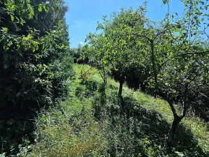 Prodej rodinného domu, Kulířov, 74 m2