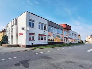 Pronájem bytu 2+kk, Týniště nad Orlicí, 17. listopadu, 80 m2