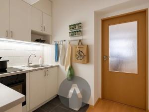 Pronájem bytu 1+kk, Brno, Spolková, 33 m2