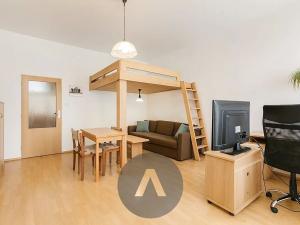 Pronájem bytu 1+kk, Brno, Spolková, 33 m2