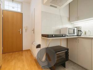 Pronájem bytu 1+kk, Brno, Spolková, 33 m2