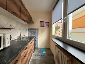Prodej bytu 1+kk, Teplice, Hlávkova, 27 m2