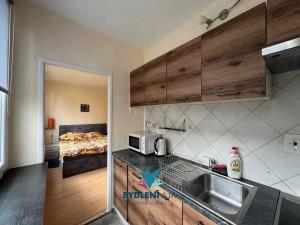 Prodej bytu 1+kk, Teplice, Hlávkova, 27 m2