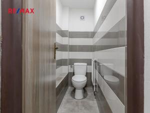 Prodej obchodního prostoru, Zbiroh, Líšenská, 700 m2