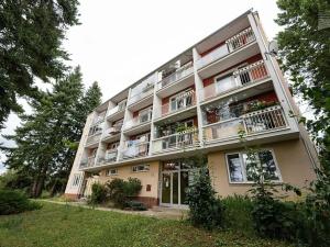 Prodej bytu 1+1, Brno, Mučednická, 46 m2