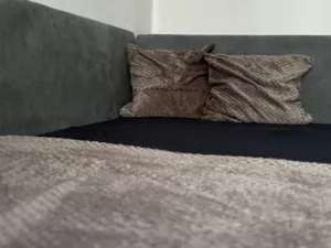 Pronájem bytu 1+kk, České Budějovice, Jar. Haška, 18 m2