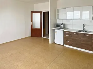 Pronájem bytu 1+kk, Brno, Oblá, 32 m2