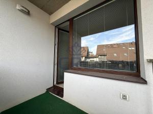 Pronájem bytu 1+kk, Moravany, Višňová, 30 m2