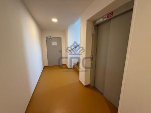 Pronájem bytu 1+kk, Moravany, Višňová, 30 m2