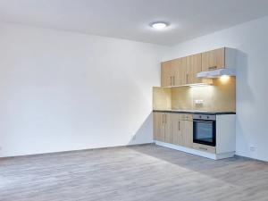 Pronájem bytu 1+kk, Plzeň, Železniční, 45 m2
