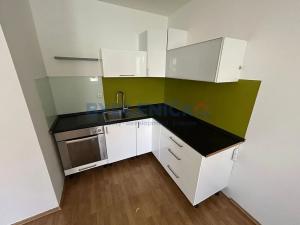 Pronájem bytu 1+kk, České Budějovice, Lipenská, 24 m2