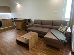 Pronájem bytu 1+kk, Ostrov - Horní Žďár, 28 m2