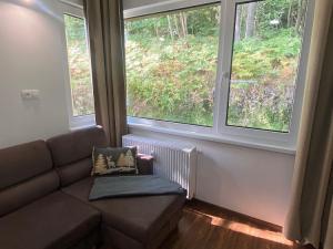Pronájem bytu 1+kk, Ostrov - Horní Žďár, 28 m2