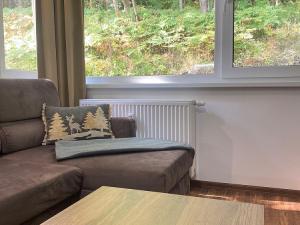 Pronájem bytu 1+kk, Ostrov - Horní Žďár, 28 m2