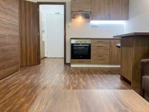 Pronájem bytu 1+kk, Ostrov - Horní Žďár, 28 m2
