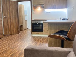 Pronájem bytu 1+kk, Ostrov - Horní Žďár, 28 m2