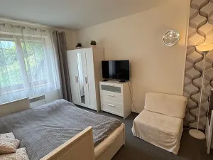 Prodej bytu 2+kk, Rokytnice nad Jizerou, 30 m2