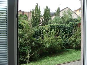 Pronájem bytu 1+1, Brno, Francouzská, 43 m2