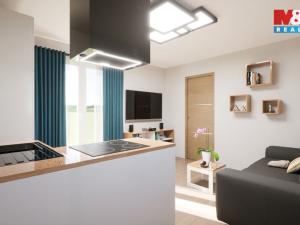 Prodej rodinného domu, Strašnov, 43 m2